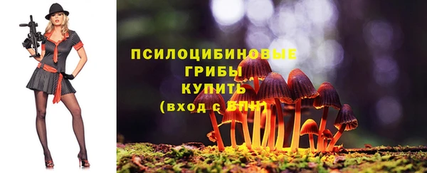 мдма Зеленодольск