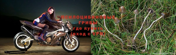 скорость mdpv Зеленокумск